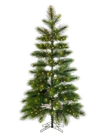 Majestic Pine Tree | Balsam Hill