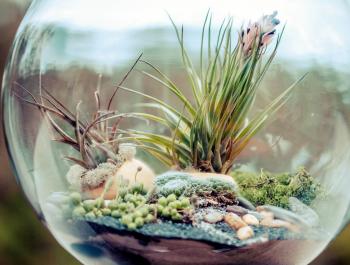 6 Creative hanging gardens that you can make yourself | Inhabitat ...