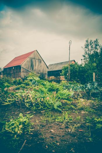 Green Plants Near White and Red Wooden House Under Dramatic Clouds during Daytime