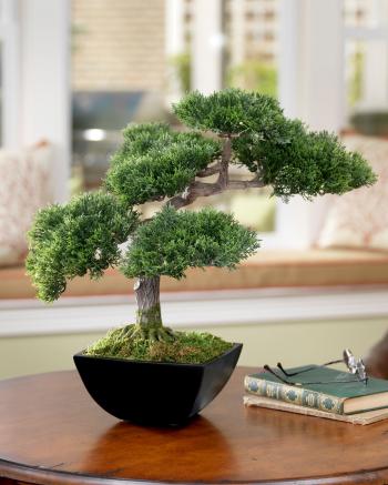 Artificial Cypress Silk Bonsai Tree at OfficeScapesDirect