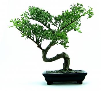 Green plastic bonsai