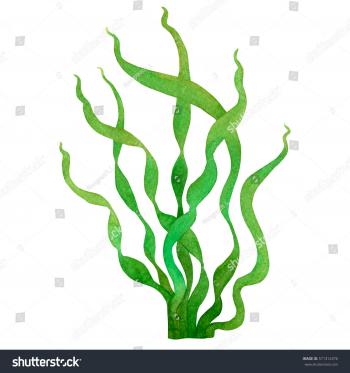Green Seaweed Watercolor Hand Painted Element Stock Illustration ...