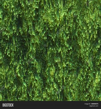 Seamless Texture Hanging Down Worn- Image & Photo | Bigstock