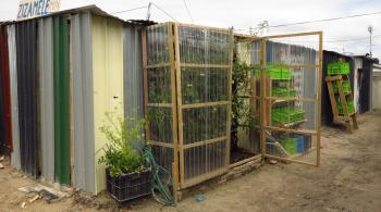The Green Shack at Design Indaba 2013 | Design Indaba