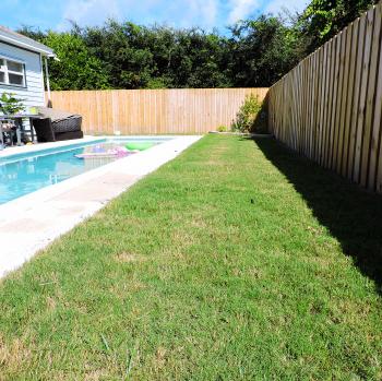 Bermuda Grass - Sod Jacksonville Fl