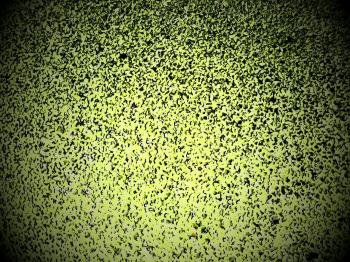 Green Speckled Vignette Background