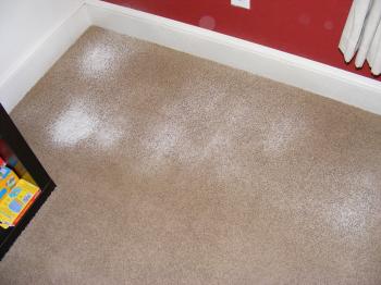 center>Cleaning Your Carpet (Without a Carpet Cleaner)</center>