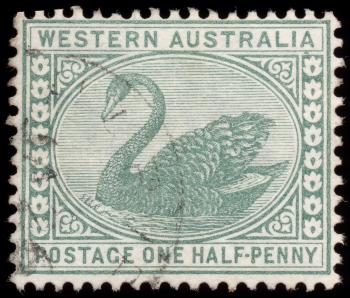 Green Swan Stamp