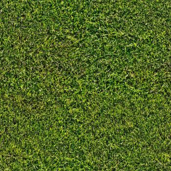 Free high resolution Green textures | Wild Textures