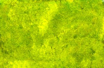 Yellow-Green Paint Texture (JPG) | OnlyGFX.com