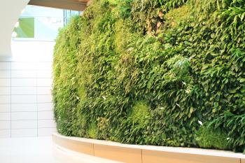 Lancaster General Barshinger Cancer Institute Green Wall
