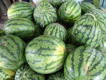 Green Watermelons