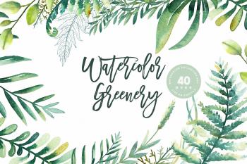 Watercolor Greenery - Illustrations | Creative Market Pro