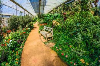 Greenhouse Garden