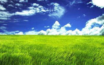 Nature Green Land HD Wallpapers | Nature | Pinterest | Hd wallpaper ...