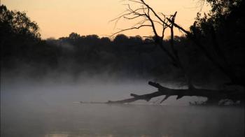 Grey Day - Jesse Colin Young (Part 1 and 2) - YouTube