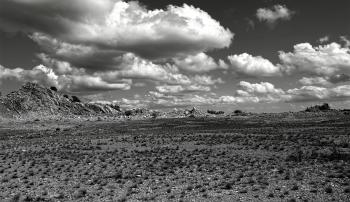 Grey Scale Photography of Open Field and Mountain