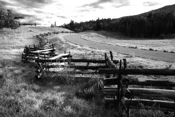 Greyscale Photo of Wooden Fence Near Road
