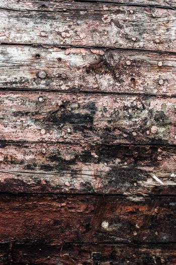 Gritty Wood Texture Background