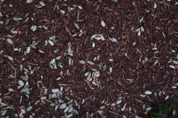 Ground texture chipped bark plant matter desktop wallpaper ...