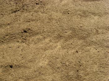 Free Ground Textures @ TextureZ.com