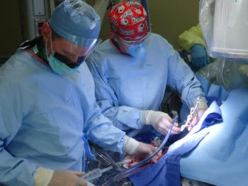 Group of Surgeons Operating