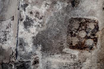 Grunge Moldy Wall Texture