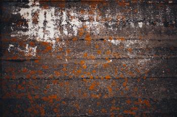 Grunge Old Concrete Wall Texture