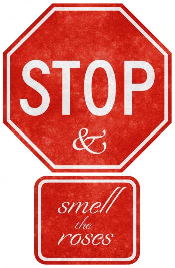 Grunge Road Sign - Stop & Smell the