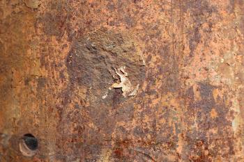 Free Grunge / Rust texture (peel, metal, paint)