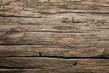 Wild Textures | Free high resolution textures, backgrounds and ...