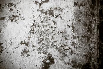 Grungy Peeling Wall Texture