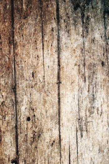 Grungy Wood Texture