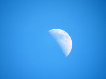 Half Moon in Daylight