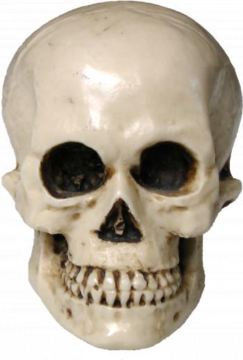 Free Scary Halloween Skull PNG Image