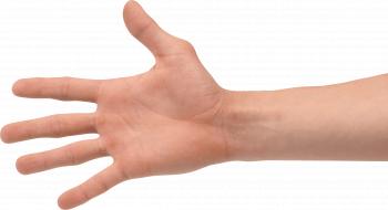 Hands PNG Transparent Hands.PNG Images. | PlusPNG