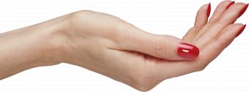 Hands PNG free images, pictures download, hand