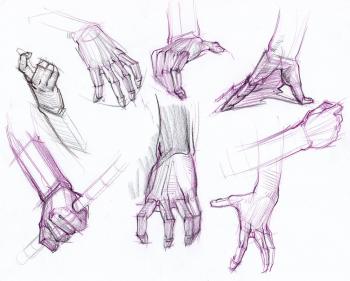 Hands Figure Drawing at GetDrawings.com | Free for personal use ...