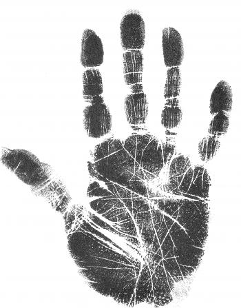 Do Palms Change? - World of Hands