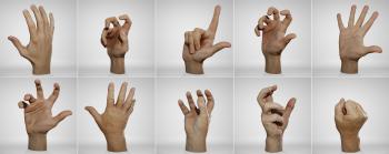 Male Hands Pack | Anatomy 360