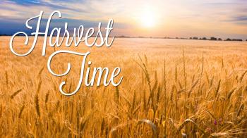 6/02 | Harvest Time | New Life Christian Fellowship