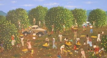 Harvest Time