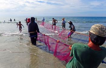 Hauling in the nets. Philippines.