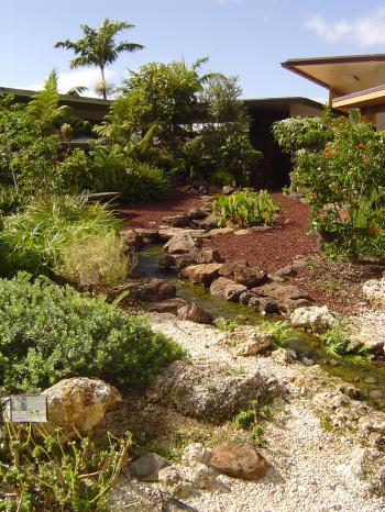 Native Hawaiian Garden | Aloha….