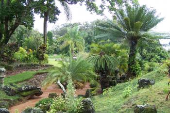 Hawaiian Garden