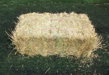 Meadow Hay conventional bales