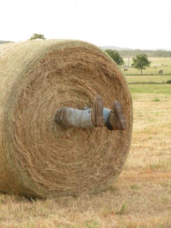 My dad cracks me up! He put this on one of his hay bales sitting out ...