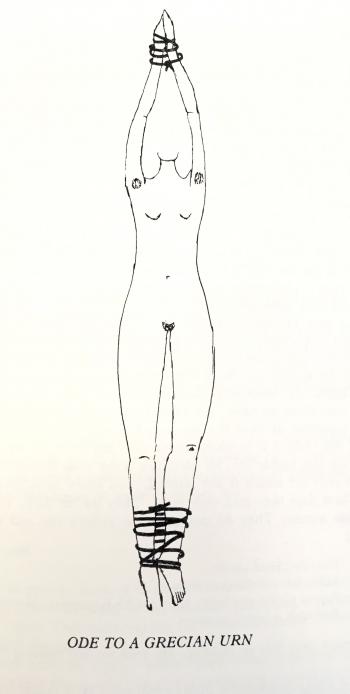 Kathy Acker's Blood and Guts in High School