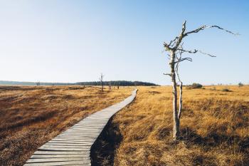 High Fens (Belgium) - Johan Lolos Photography | lebackpacker
