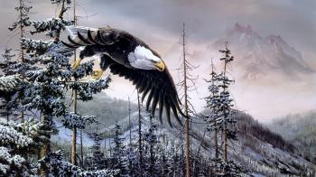 Drawing - eagle flying above the trees full of snow